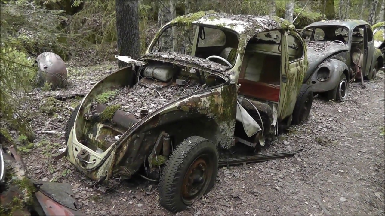 Junkyard Båstnäs, Allée of the dead vw beetle