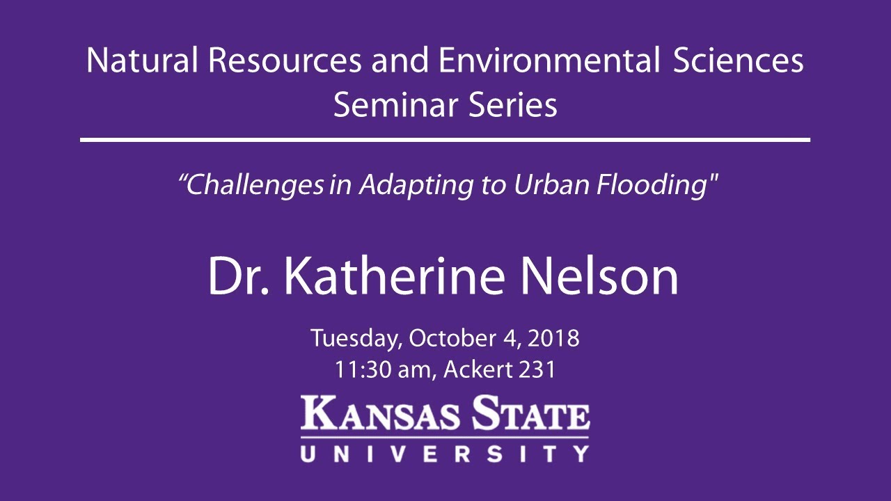 Challenges in Adapting to Urban Flooding