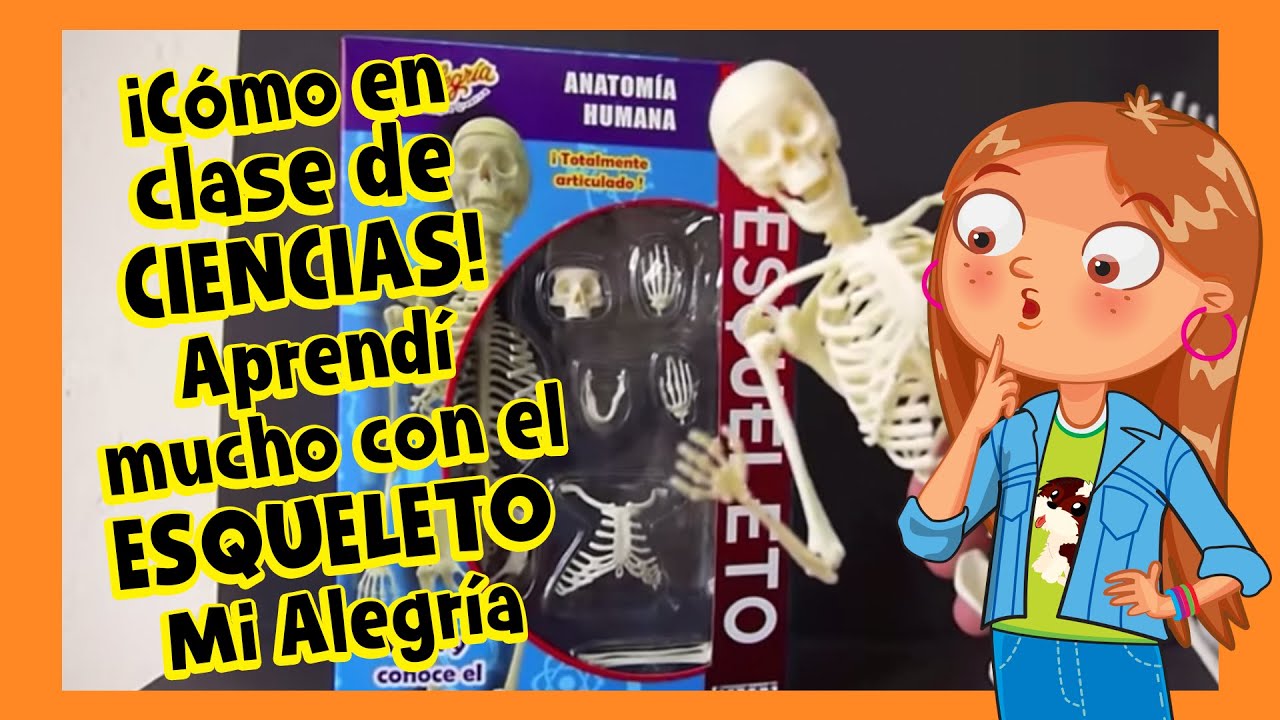 ESQUELETO HUMANO A ESCALA VIDEOMANUAL JUGUETES MI ALEGRIA