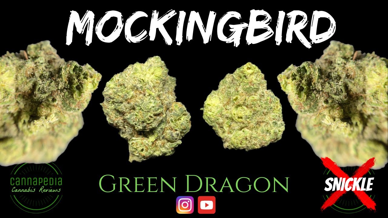 Mockingbird Strain Review - Green Dragon - Cannapedia