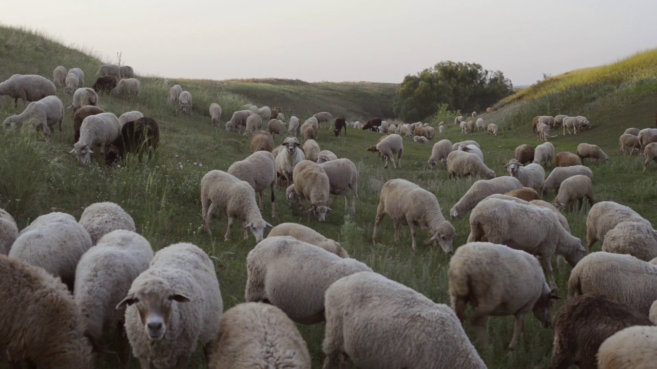 Eine Ecke in Russland
