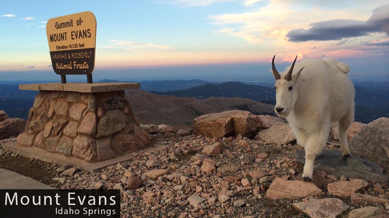 Mount Evans (Idaho Springs) - Cycling inspiration & Education