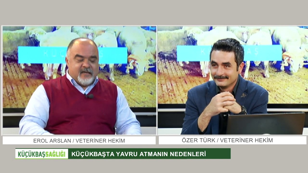 K&Uuml;&Ccedil;&Uuml;KBAŞTA YAVRU ATMANIN NEDENLERİ | K&Uuml;&Ccedil;&Uuml;KBAŞ SAĞLIĞI