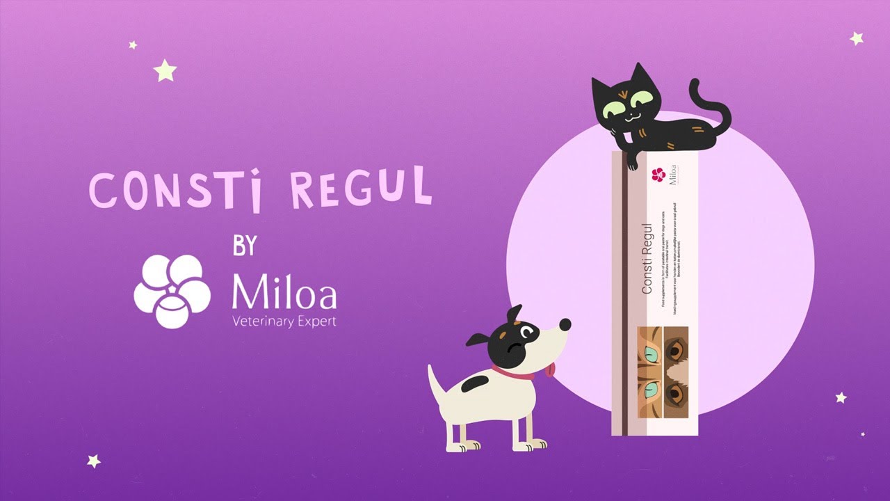 La&iuml;ka and Brico - Consti Regul&trade;