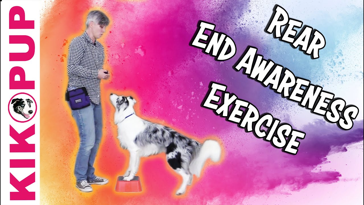 Rear End Awareness Exercise - Professional Dog Training