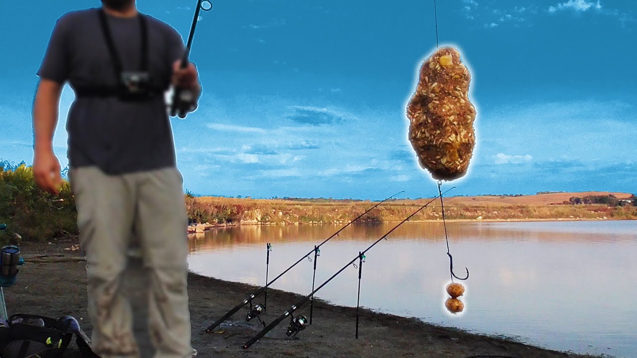 I Was WRONG About This Bait! (Fall Carp Fishing)