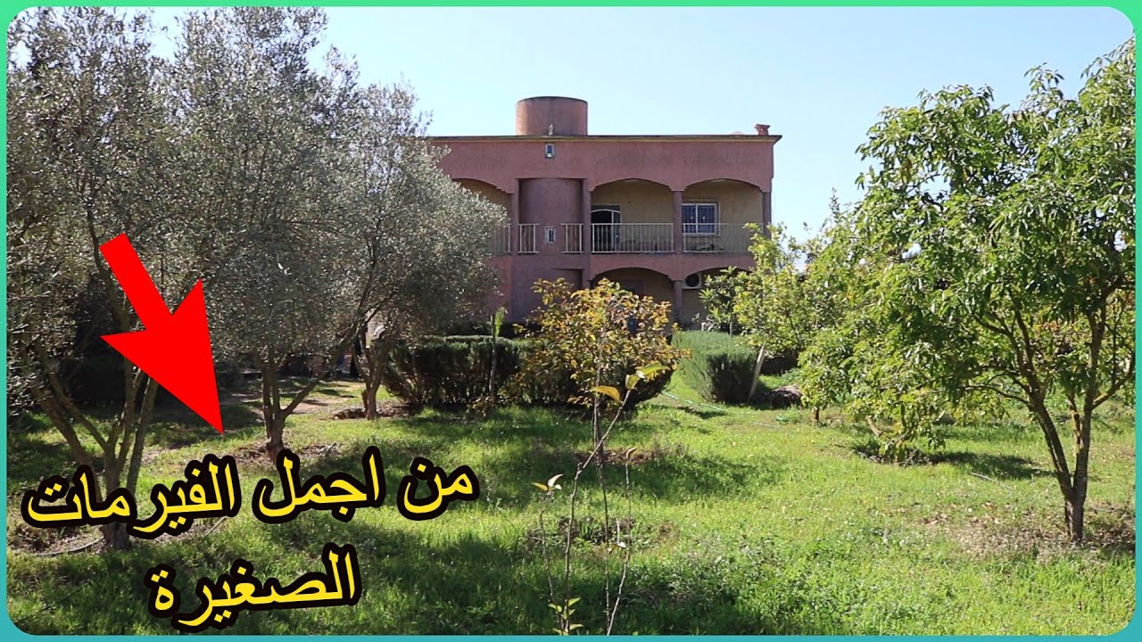 فيرمة صغيرة لكن رائعة بكامل المواصفات المطلوبة باشجار كبيرة ومكان جميل بالقرب من المدينة✨ الخميسات ✨