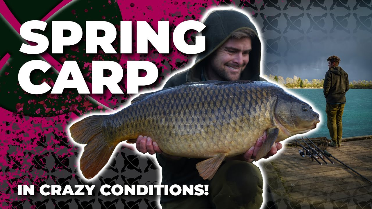 БЕЗУМНЫЕ условия для весенней ловли карпа! ДЖЕЙМС АРМСТРОНГ