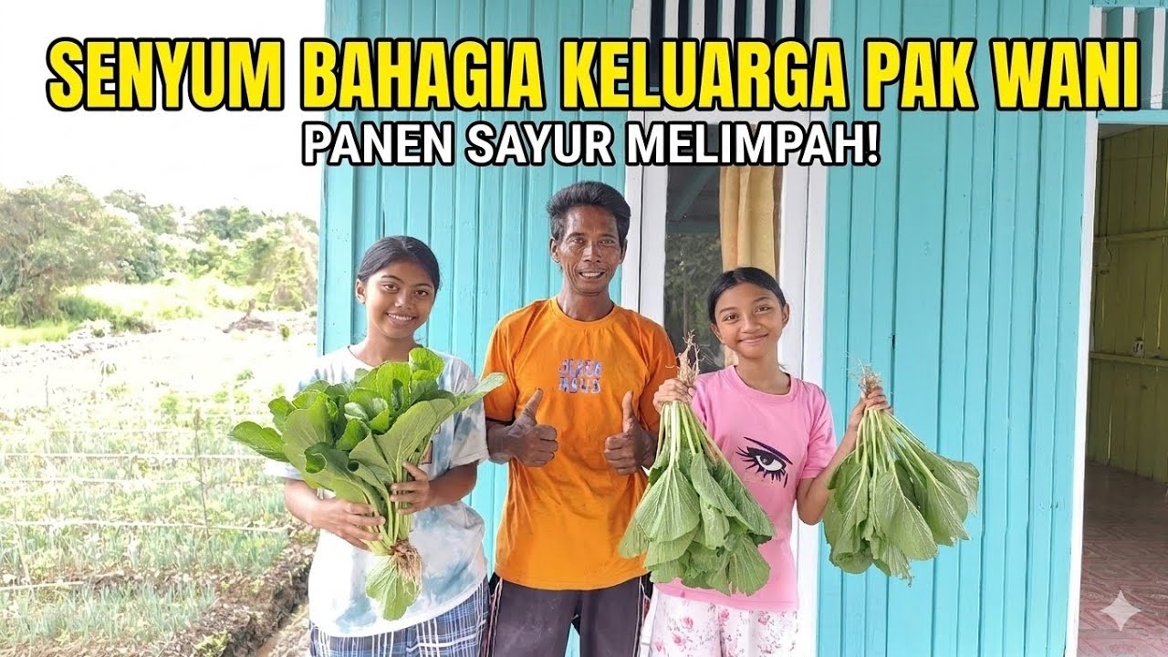 ALHAMDULILLAH DAPAT PESANAN SAWI LAGI