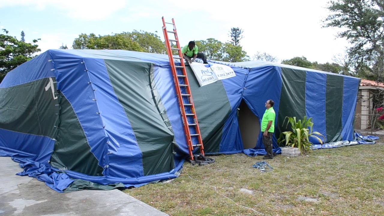 Tent Fumigation Video