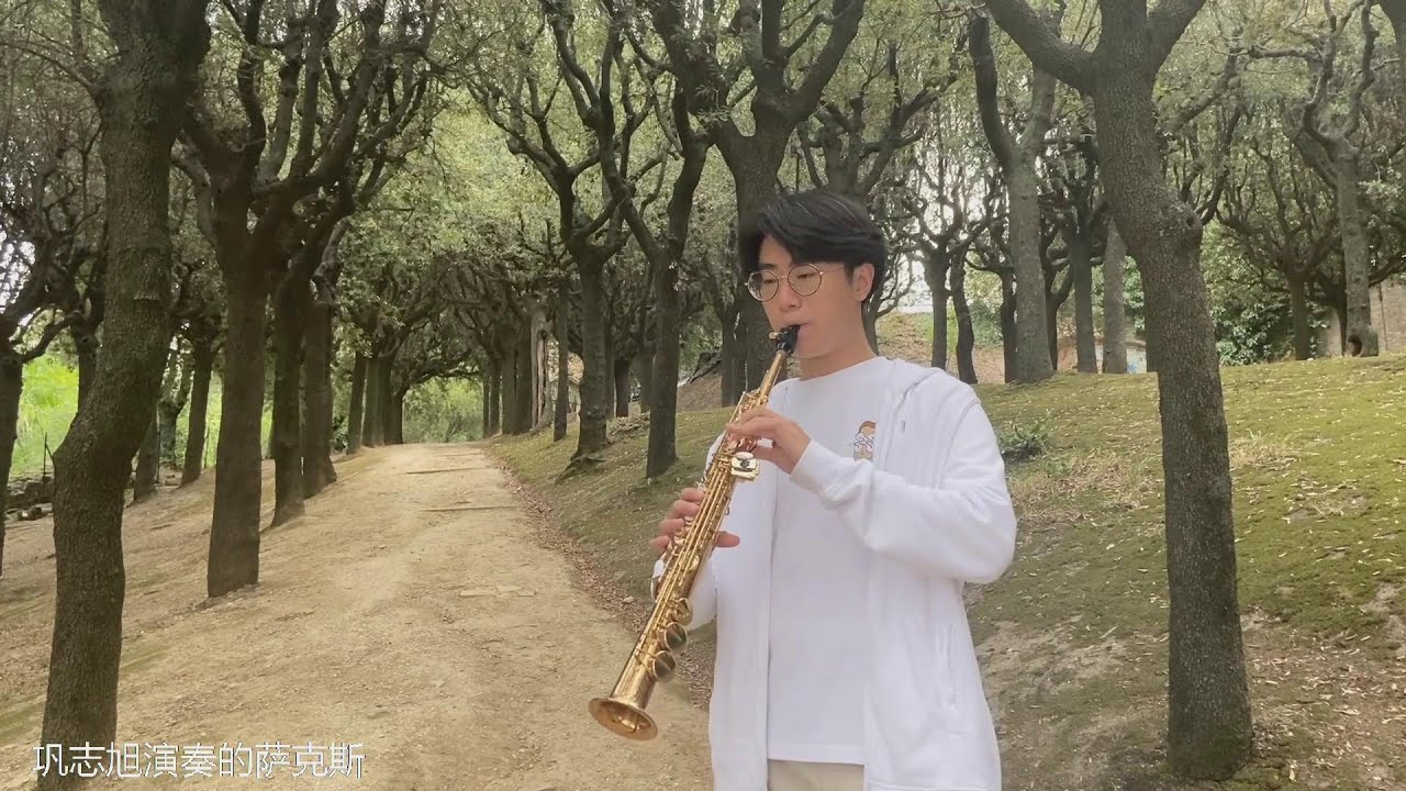 《千与千寻片尾曲》萨克斯演奏SAX 