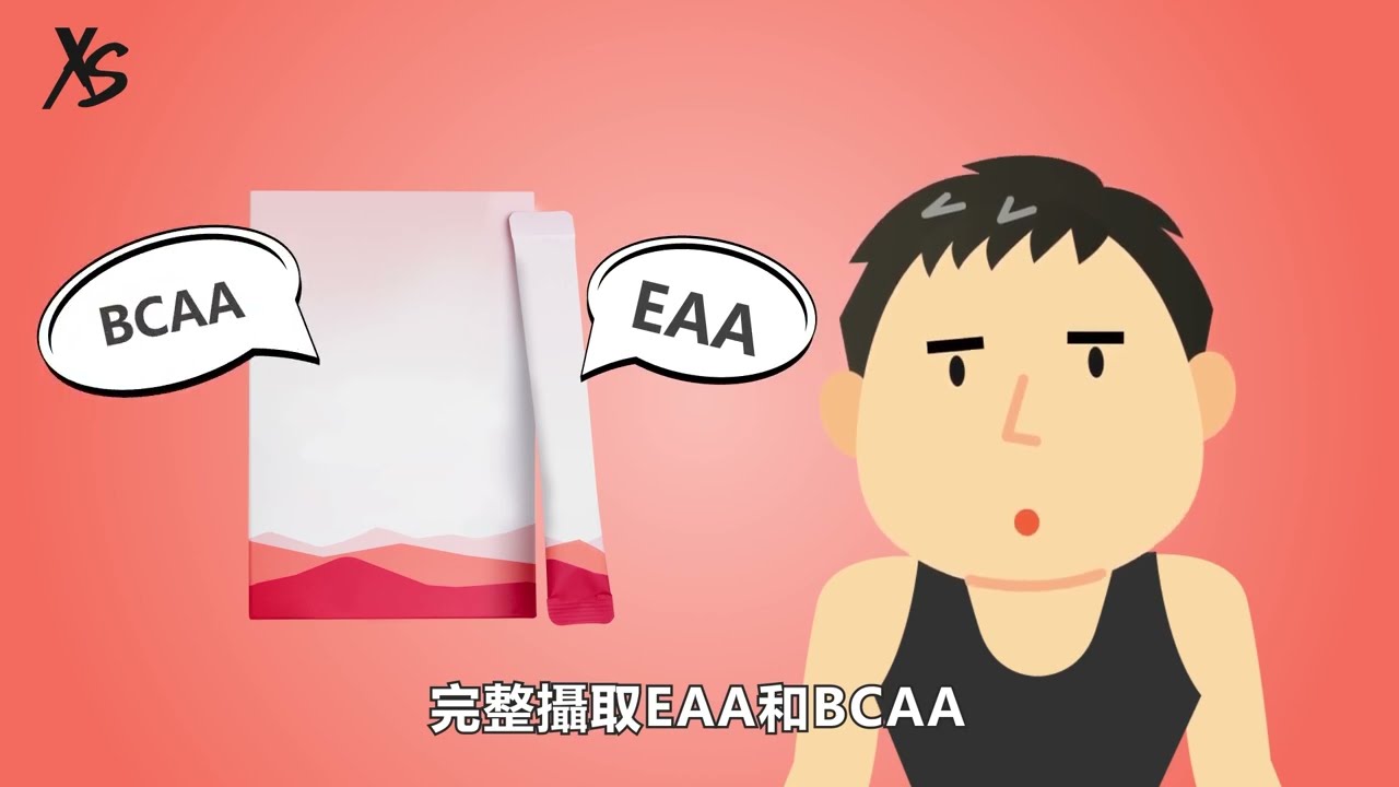 XS | 小教室 什麼是胺基酸？