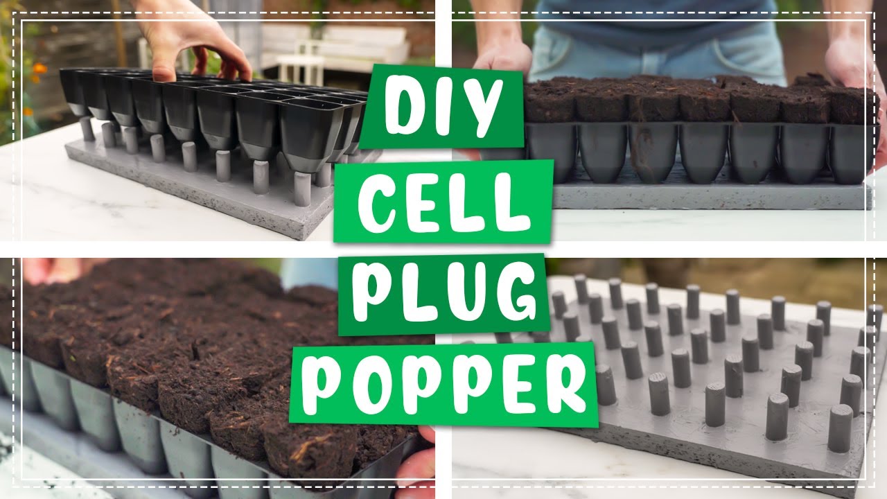 Transplant Faster! DIY Easy Seed Tray Cell Plug Popper.