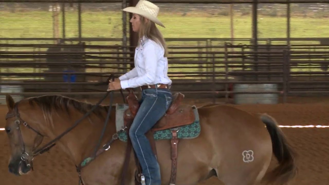 Danyelle Campbell Warming-Up Horses