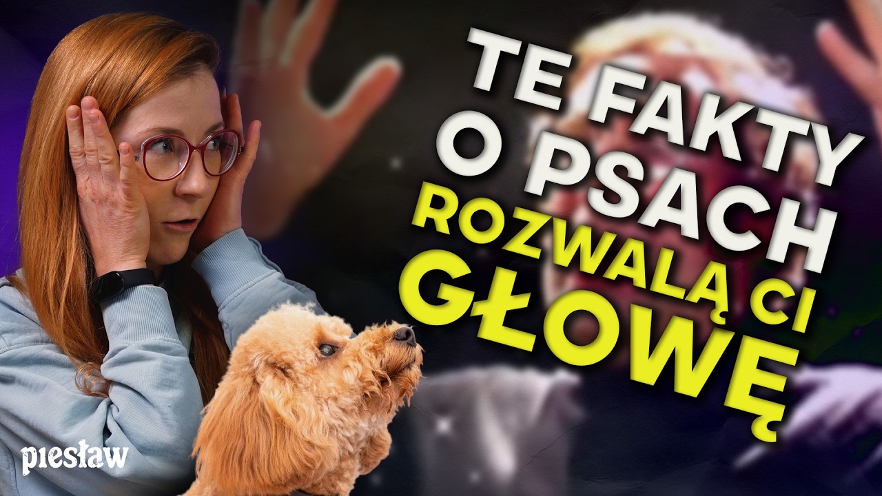 Myślisz, że znasz psy? Te 10 faktów potrafi zaskoczyć nawet psiarzy