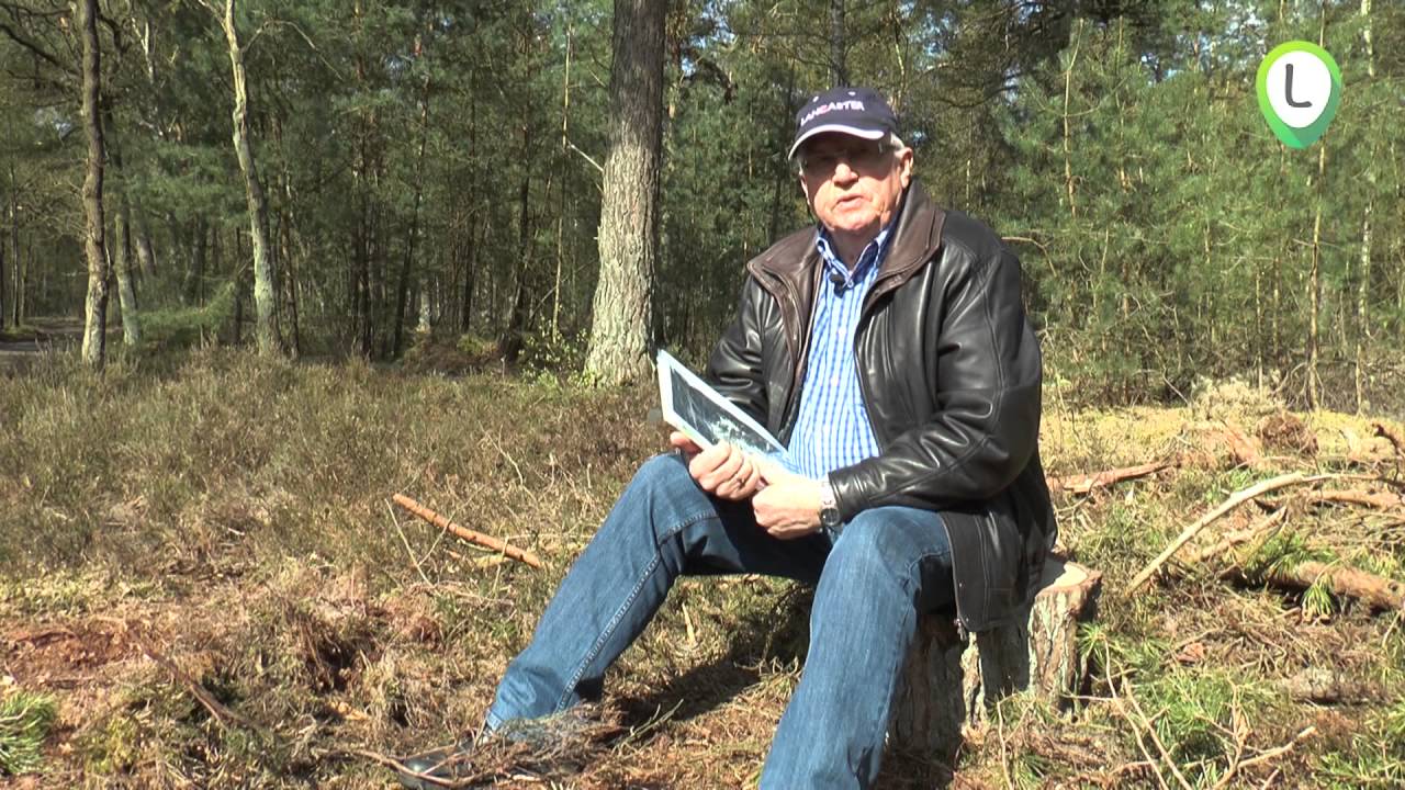 Crashplaats Mosquito op de  Wezeper Heide