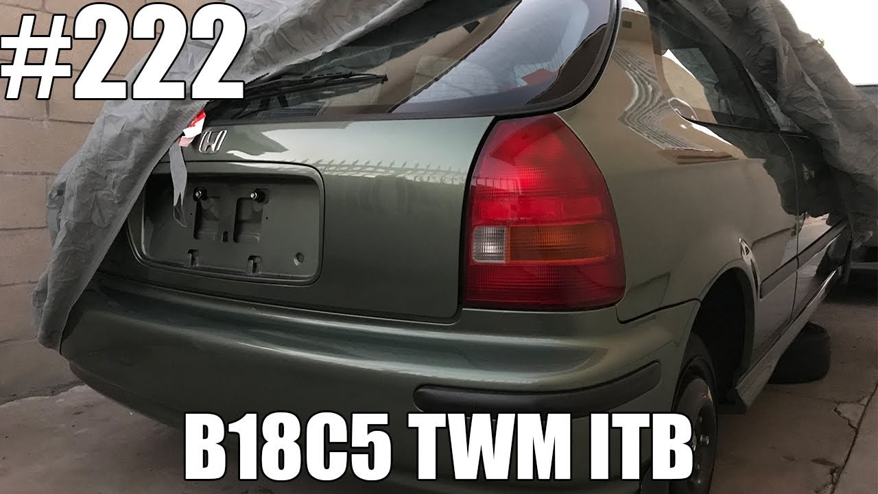 Plans for my new hatch build?