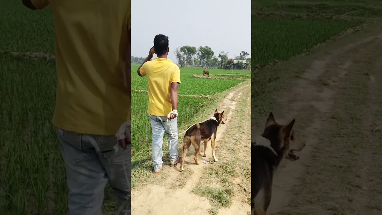 #Yah dost# Mera# kholo re# bhai# funny# #video#🥰🥹♥️🌷🙄🌺💓🩶🌹🎉🥺🤗