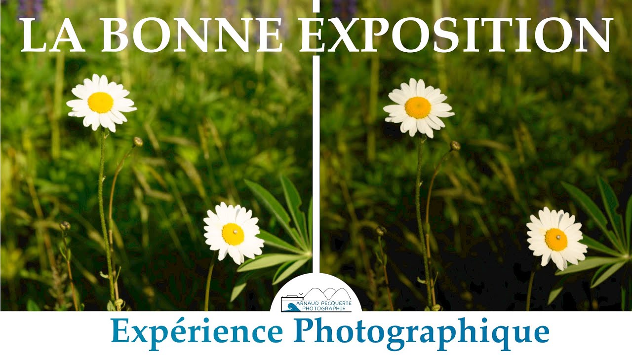 Comment être sur de bien exposer sa photo? | Tuto Photographie