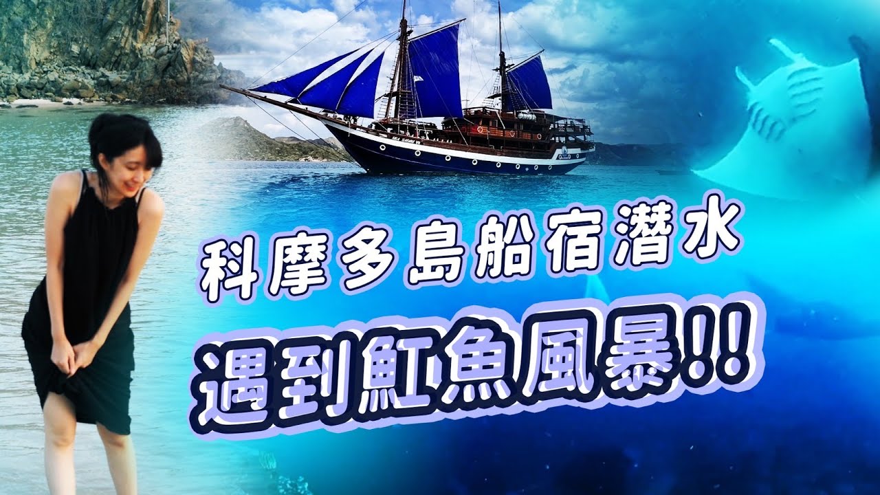【小熊】科摩多島船宿潛水VLOG！我遇到一整群魟魚！！