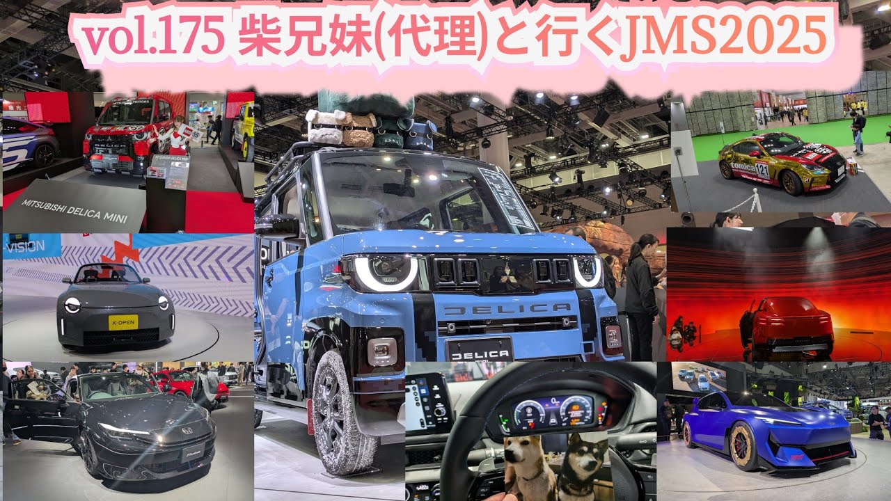 【柴兄妹の愉快な日々】vol.175 柴兄妹（代理）と行くJMS2025
