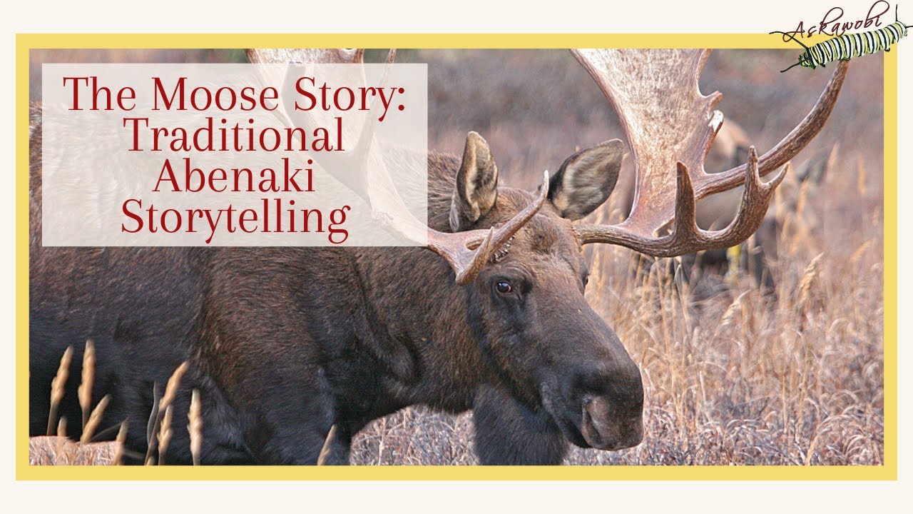 The Abenaki Moose Story, as Told by Sagamo Roger Longtoe Sheehan