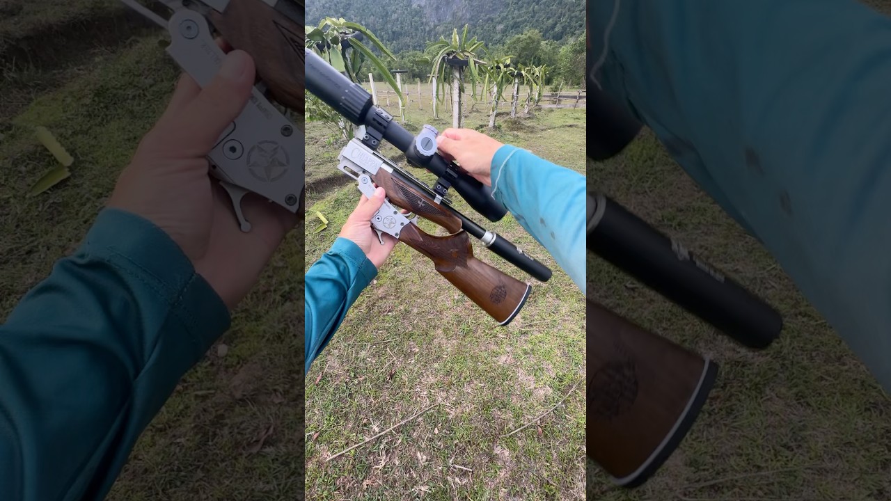 #Chiappa ,22lr