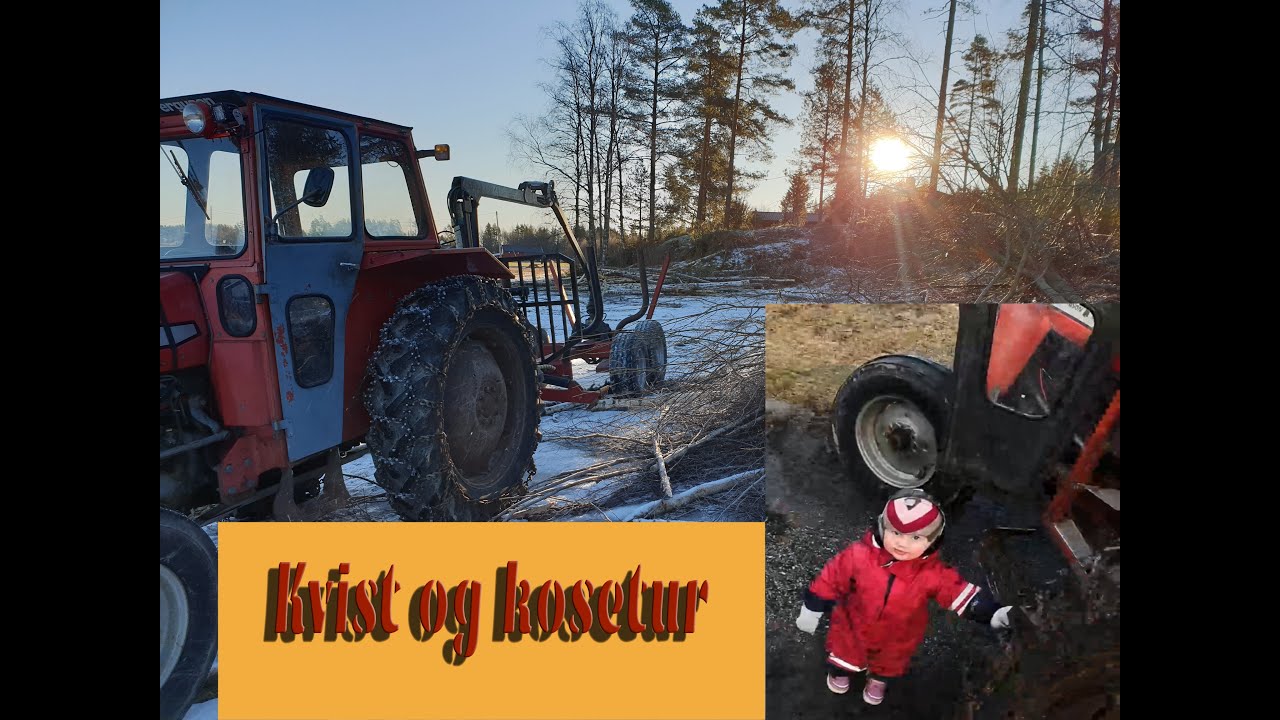 Andrea og pappa laster kvist.