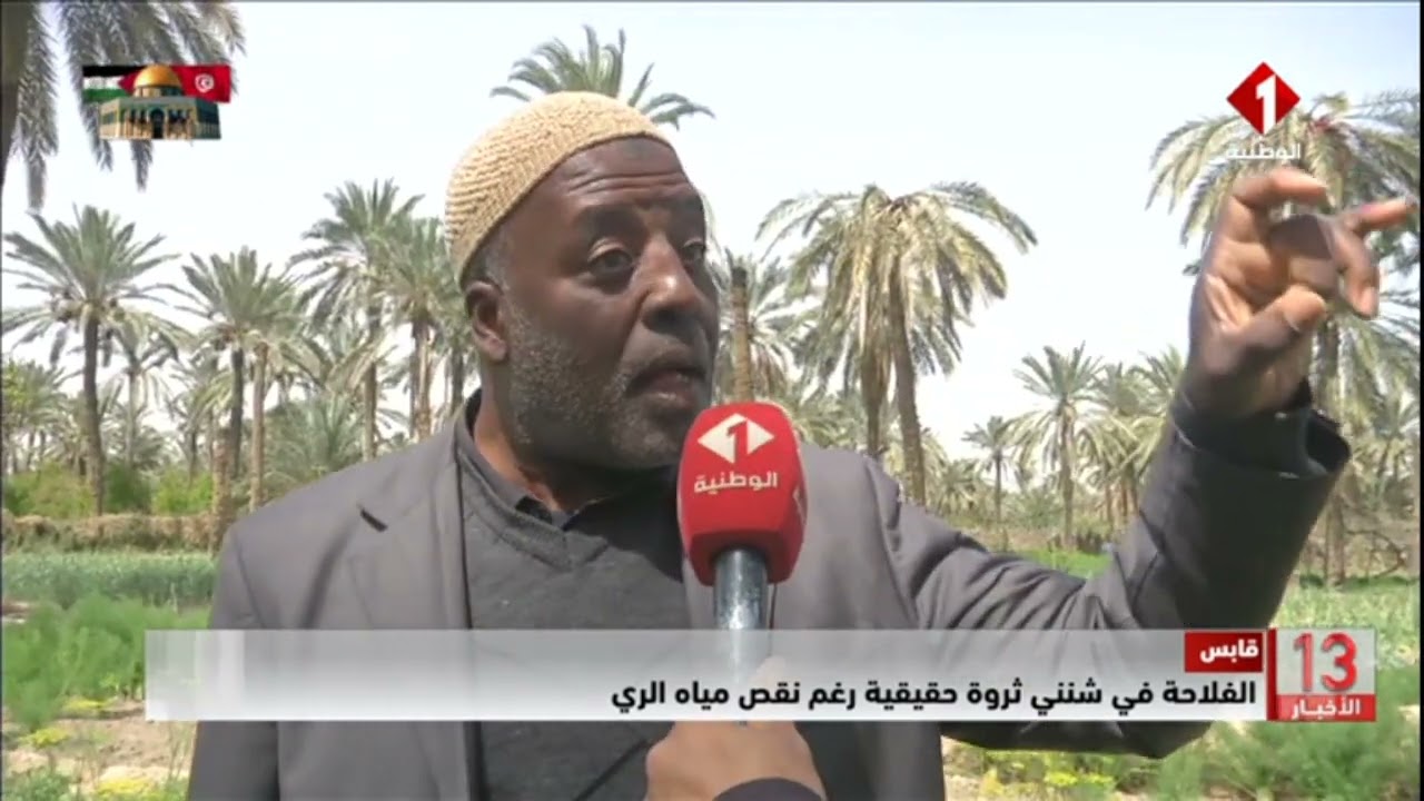 قابس ||  الفلاحة في شنني ثروة حقيقية رغم نقص مياه الري