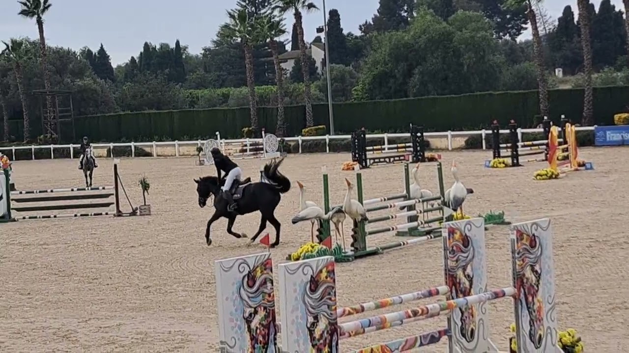 CSI5* showjumping Valancia, Spain. 