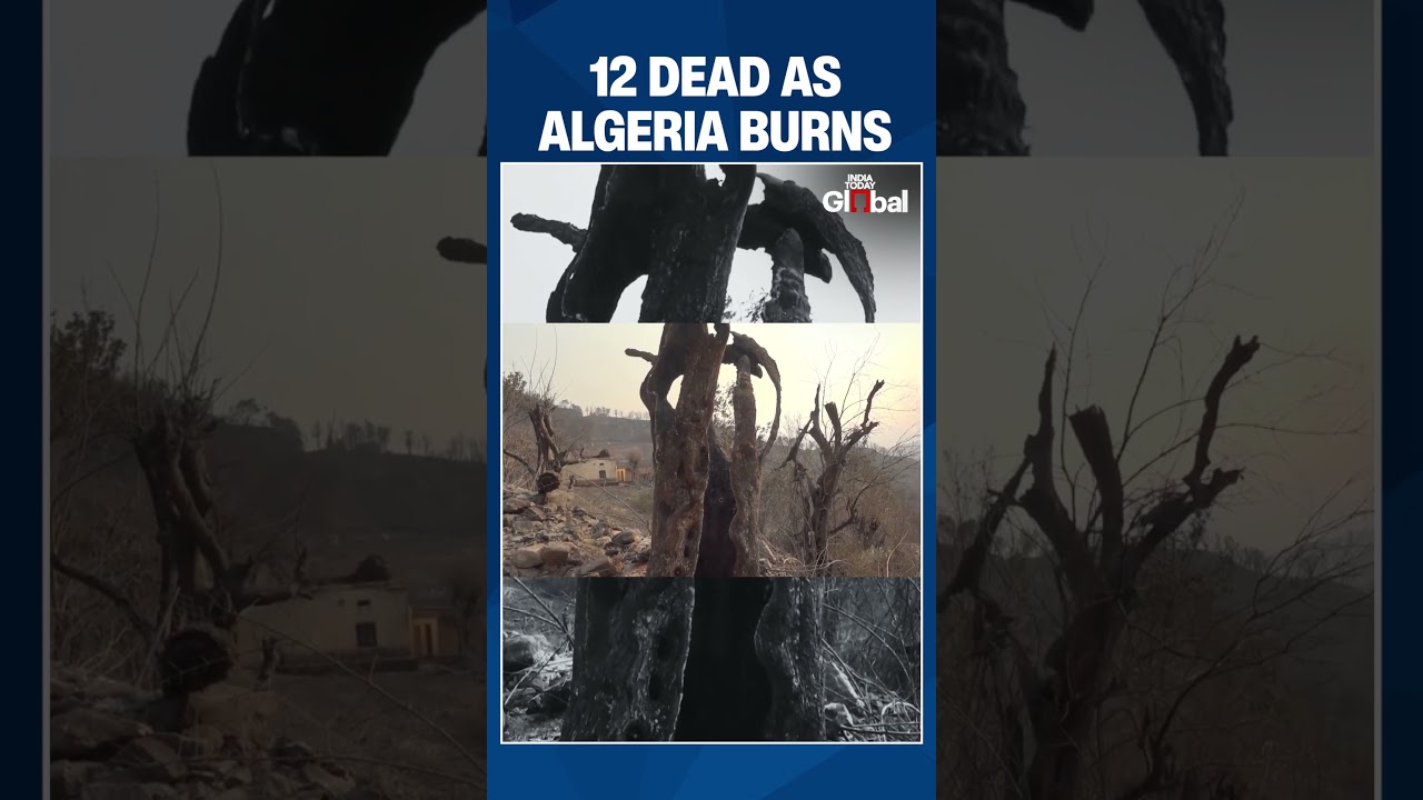 Algeria Wildfires Rage Across Provinces, Killing 12 Amid Severe Heatwave
