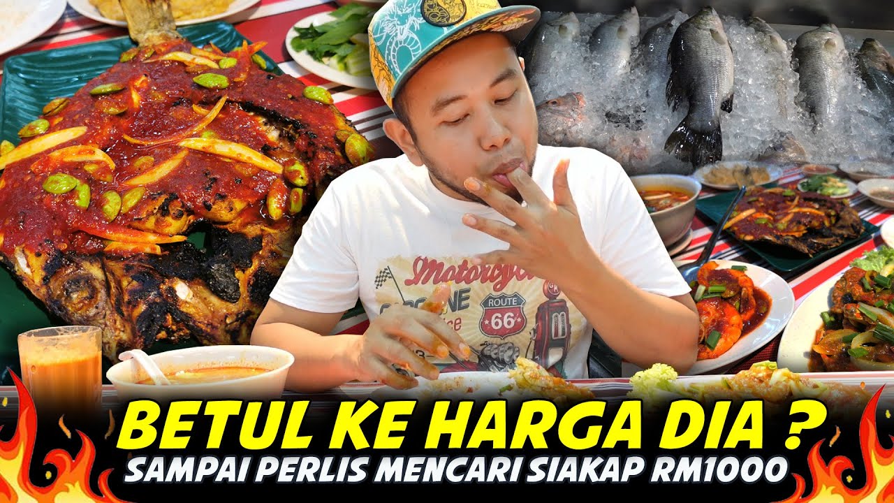 TERKEJUT TIME NAK BAYAR !!! Rupanya Dekat Sini Lagi Murah.. Di MONA IKAN BAKAR KUALA PERLIS