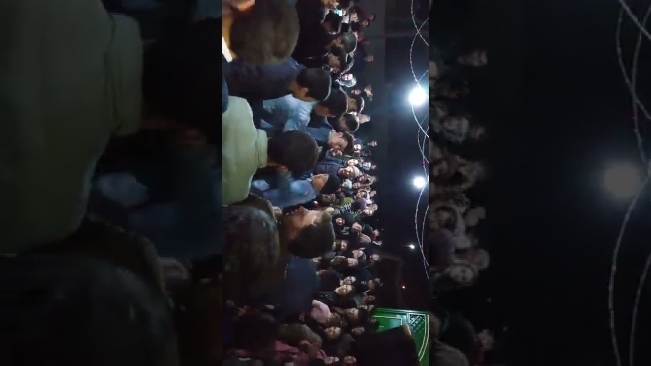 туй дар коковод