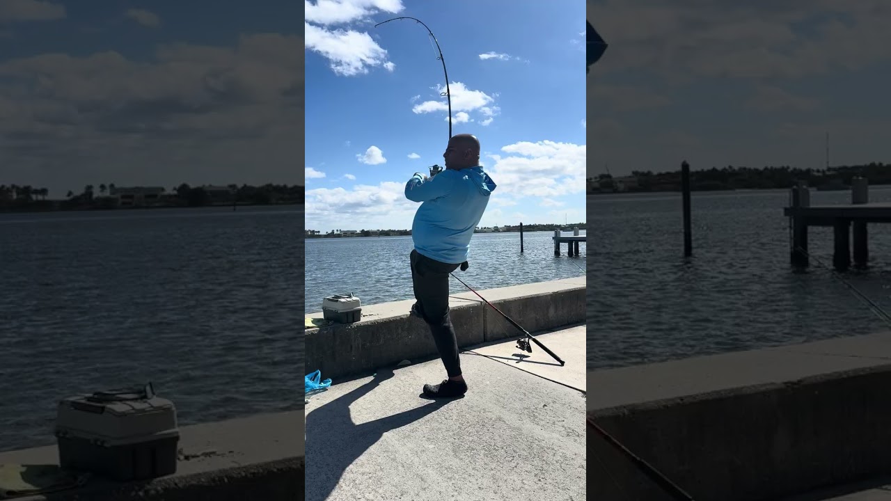 Pesca de blufihsf