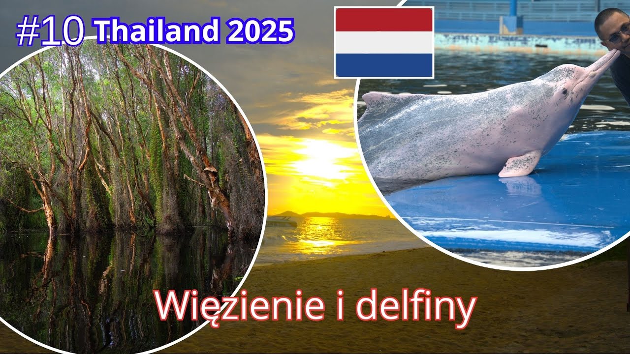 # 10 | W drodze do Pattaya, trafiliśmy do więzienia, obejżeliśmy delfiny, przejechaliśmy 180 km.