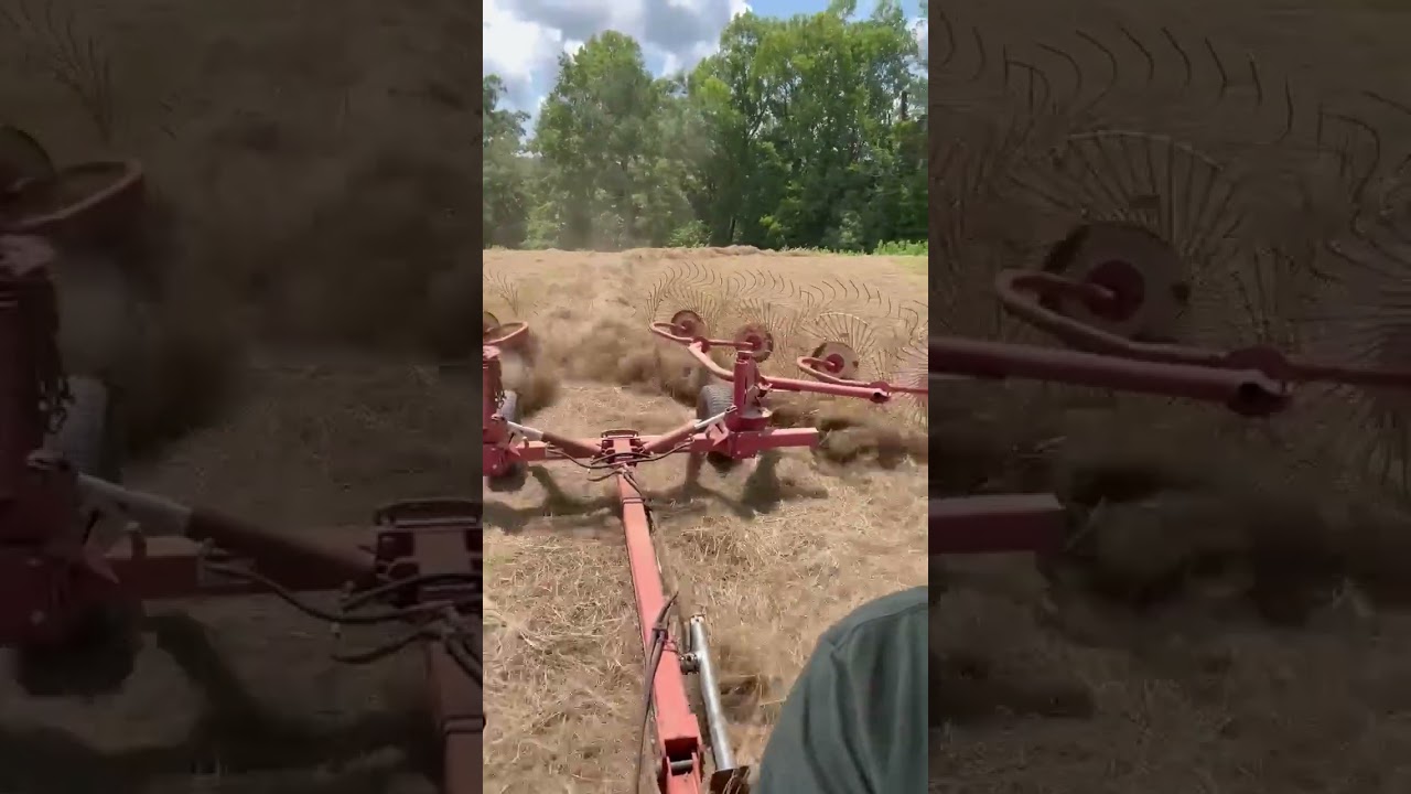 Trying out a new to us rake!!!#sitrex #vrake #hayrake #8wheelrake #haymaking