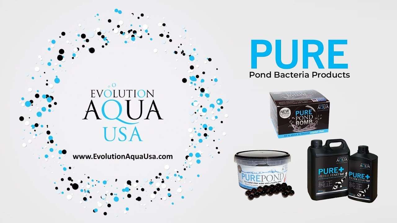 Evolution Aqua USA: Pure Pond Bacteria