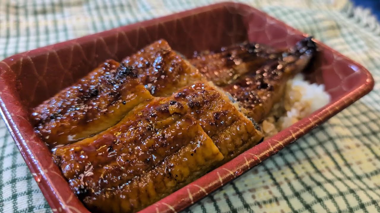 とある日の自宅の晩飯：「鰻丼・お持ち帰り」名代　宇奈とと 新宿センタービル店：丸一日経っても美味しかった：東京都杉並区和田一丁目　PXL 20260221 095847241