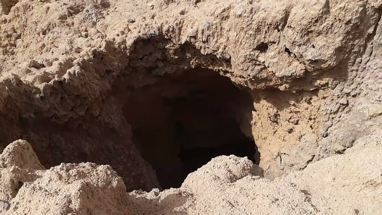 حمام عين ورقة بلدية عسلة ولاية النعامة