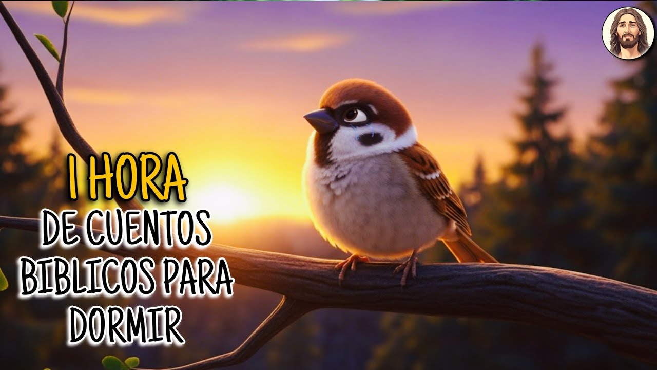 1 Hora de Cuentos Bíblicos para dormir con tranquilidad ❤️