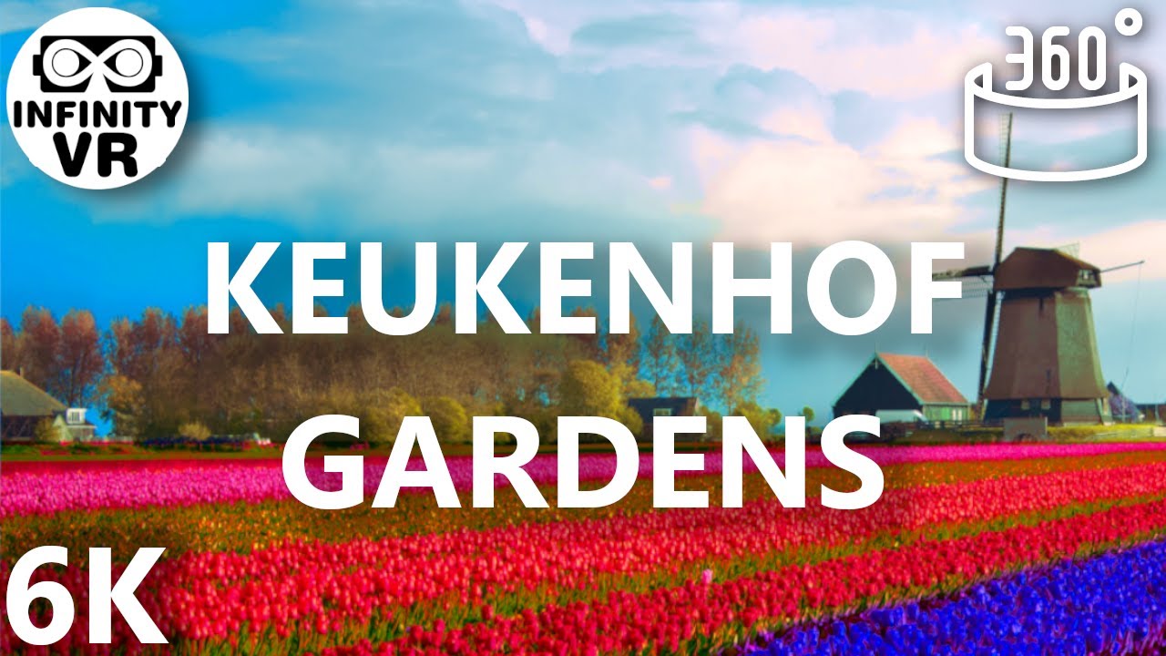 Lisse Keukenhof Gardens in 360 VR - Virtual City Trip (6K Stereoscopic)