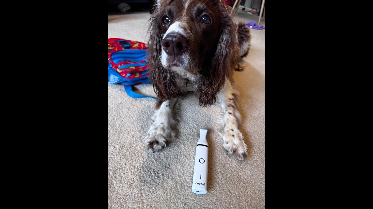 ONEISALL Cordless Dog Clippers Review