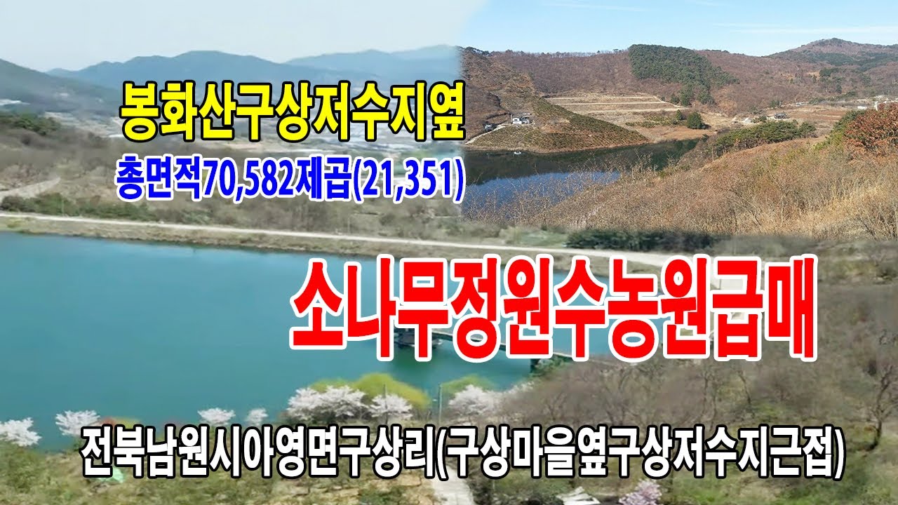 [24-066]전북 남원시 아영면 구상리 봉화산아래 구상마을회관옆 구상저수지에 접해있는 소나무 정원수농장 싸게 매매 드립니다~