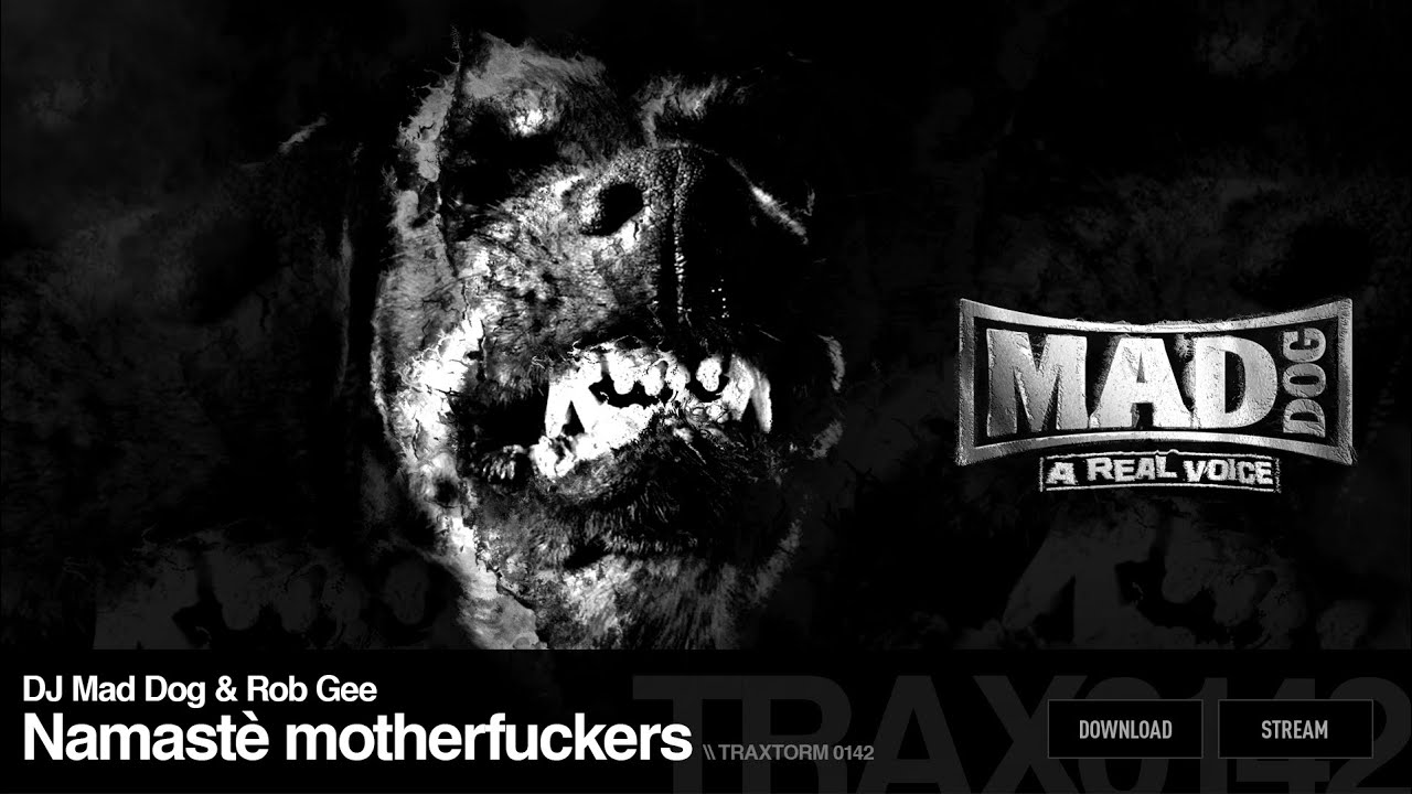 DJ Mad Dog & Rob Gee - Namasté motherfuckers (Traxtorm Records - TRAX 0142)
