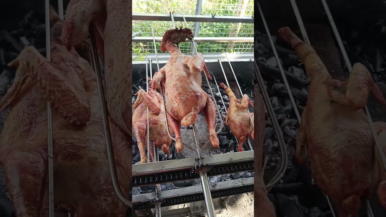 Growing Turkey to Roasting Turkey🦃 Lechon Pabo #turkeyfarming #food #filipinofood #turkey #pabo #eat