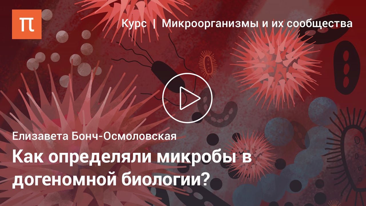 Елизавета Бонч-Осмоловская &mdash; Биологическая таксономия