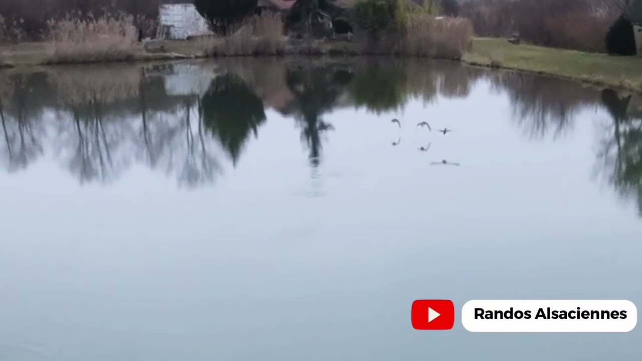 Ungersheim test drone