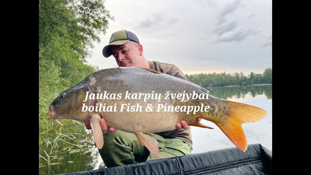 Jaukas karpių žvejybai boiliai Fish & Pineapple