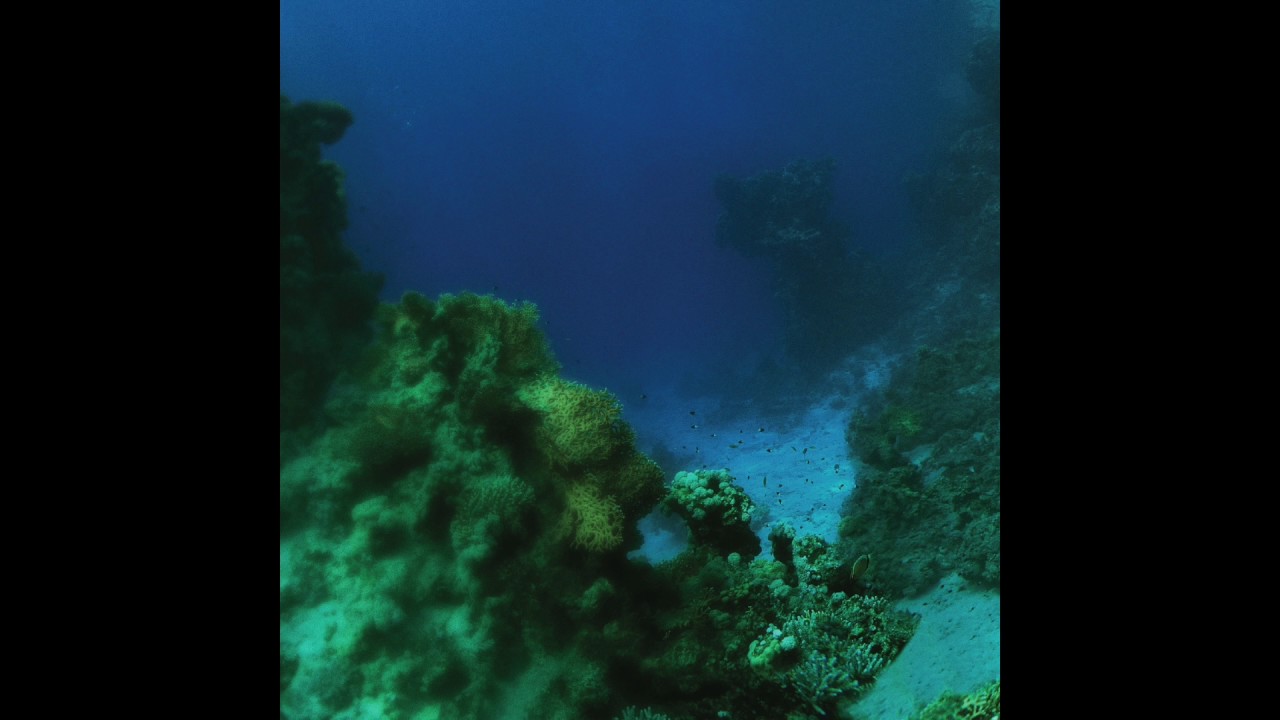 TINY FINGERS - The Fall ( Full Album )