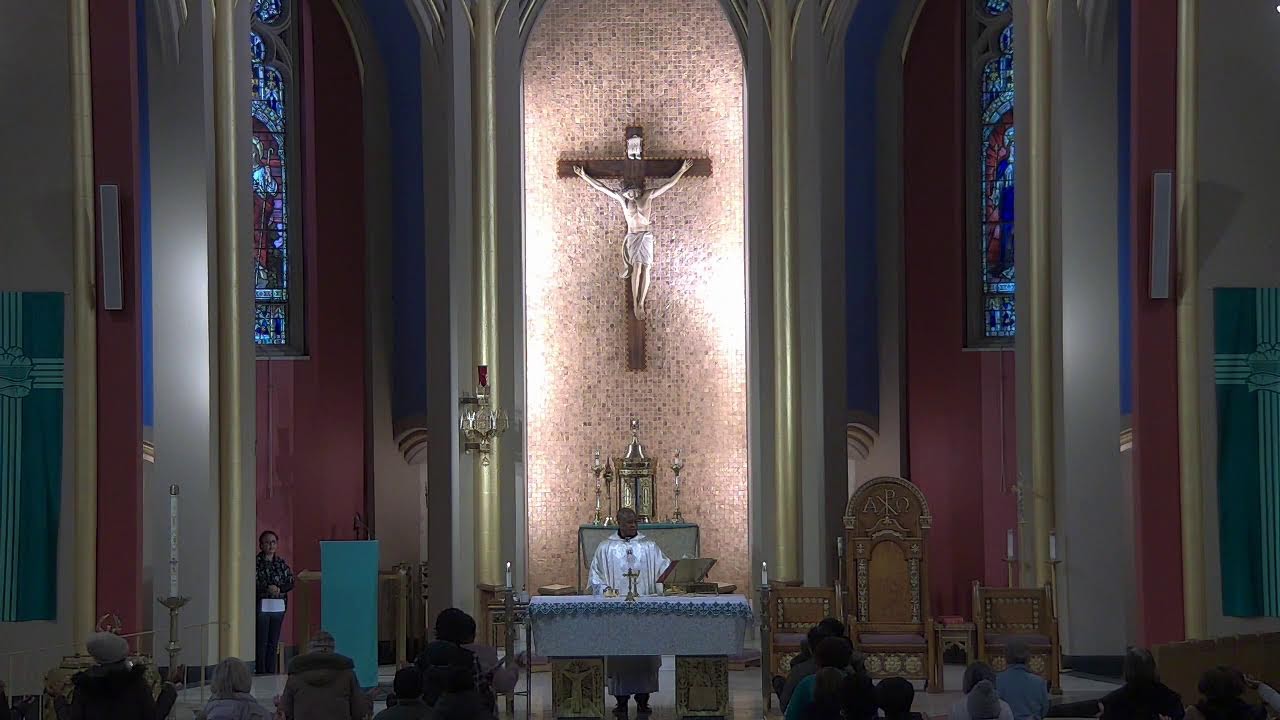 Feast of World Day of the Sick Noon Mass
